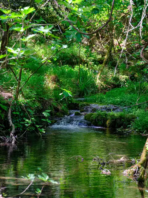 Camping en Algérie : les meilleurs spots pour dormir à la belle étoile