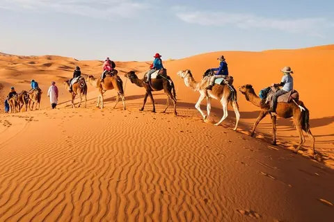 Sahara & Camps